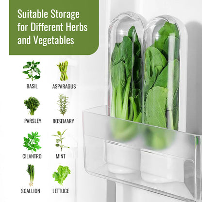 Herbs & Vegetable Pods Storage