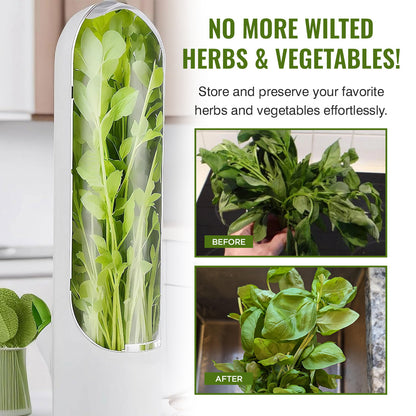 Herbs & Vegetable Pods Storage