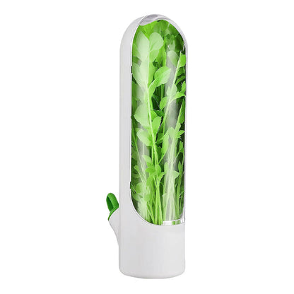 Herbs & Vegetable Pods Storage