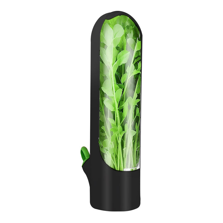 Herbs & Vegetable Pods Storage