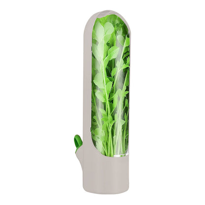 Herbs & Vegetable Pods Storage